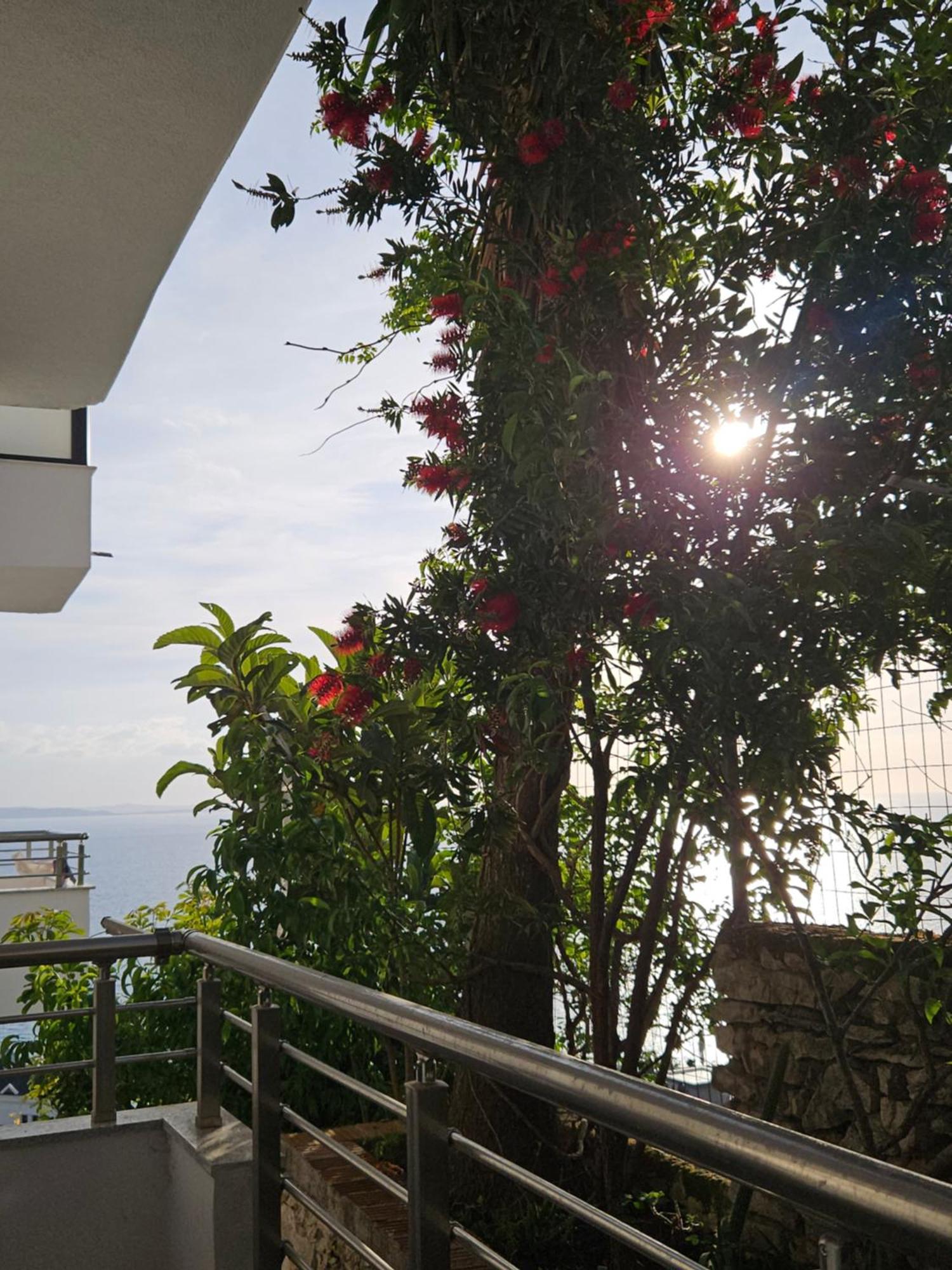 Nora'S Guesthouse Saranda Zewnętrze zdjęcie