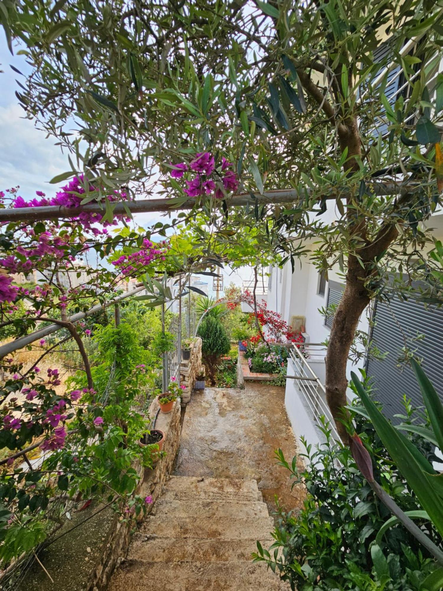 Nora'S Guesthouse Saranda Zewnętrze zdjęcie